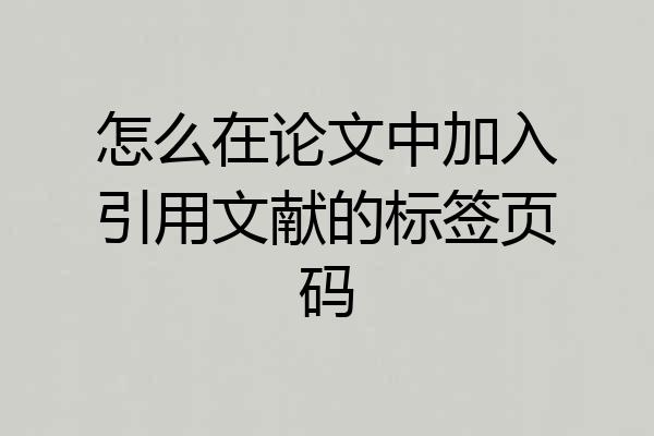 怎么在论文中加入引用文献的标签页码