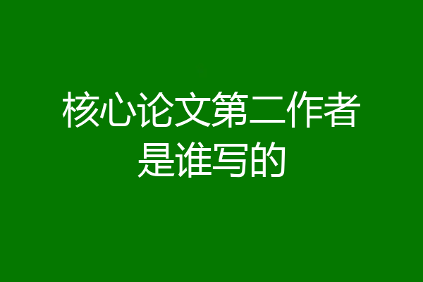 核心论文第二作者是谁写的