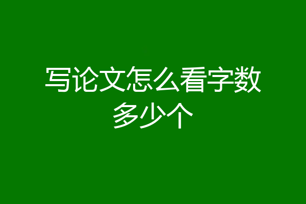 写论文怎么看字数多少个