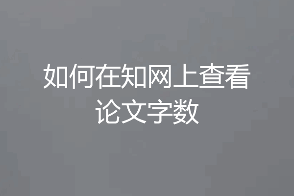 如何在知网上查看论文字数