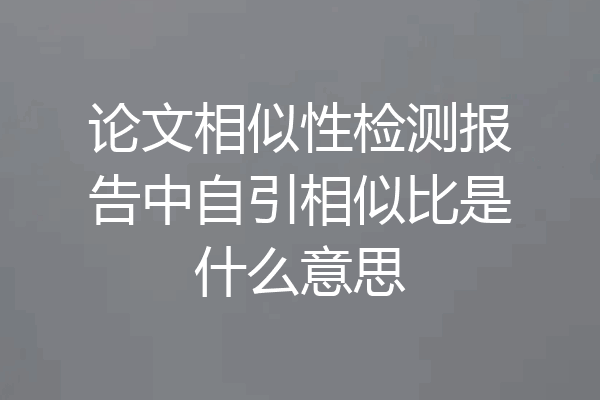 论文相似性检测报告中自引相似比是什么意思