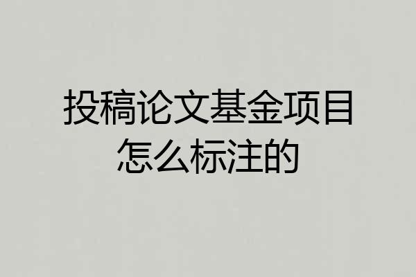 投稿论文基金项目怎么标注的