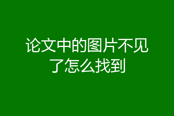 论文中的图片不见了怎么找到