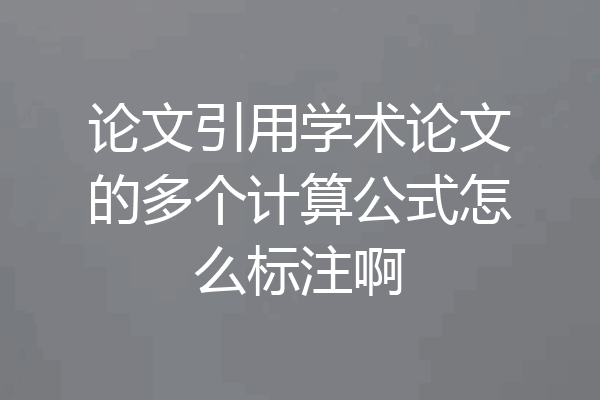 论文引用学术论文的多个计算公式怎么标注啊