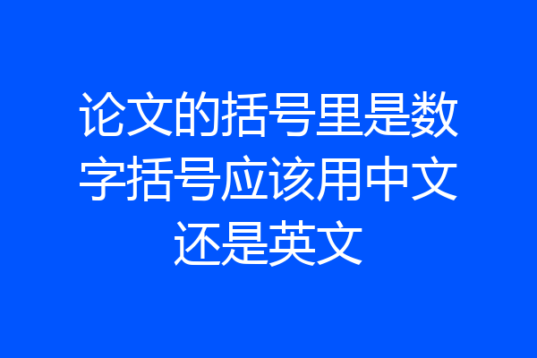 论文的括号里是数字括号应该用中文还是英文