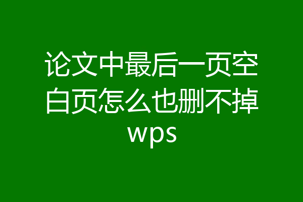 论文中最后一页空白页怎么也删不掉wps