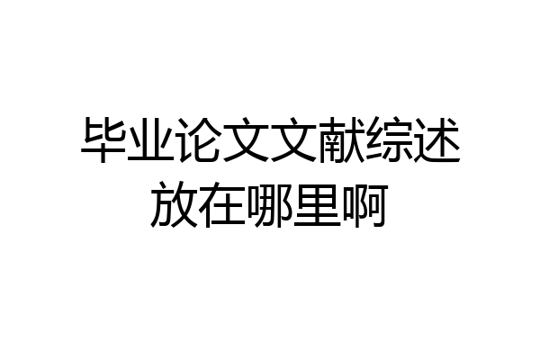 毕业论文文献综述放在哪里啊