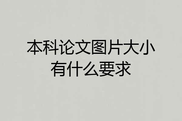 本科论文图片大小有什么要求