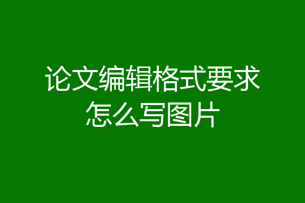 论文编辑格式要求怎么写图片