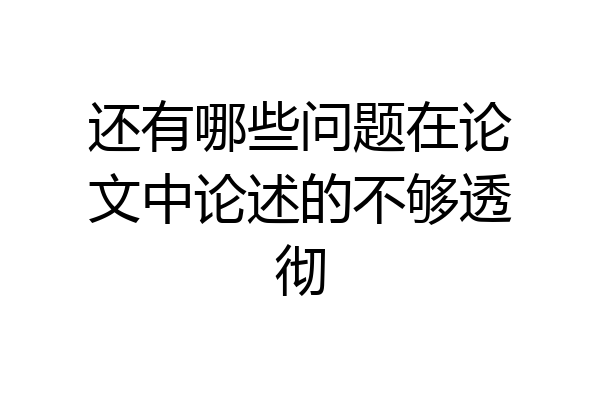 还有哪些问题在论文中论述的不够透彻