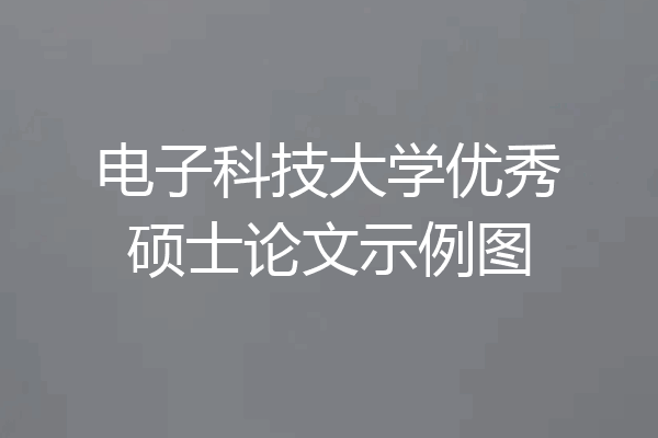 电子科技大学优秀硕士论文示例图
