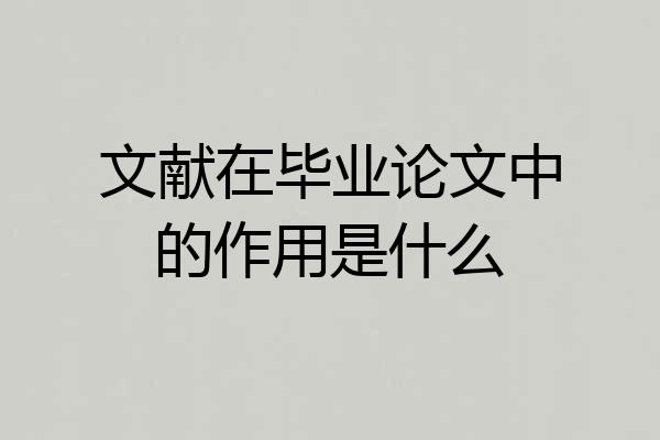 文献在毕业论文中的作用是什么