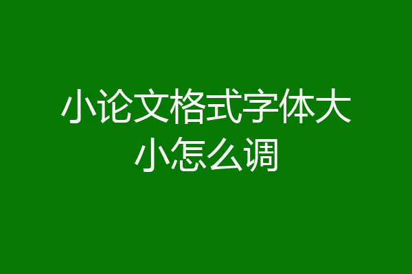 小论文格式字体大小怎么调