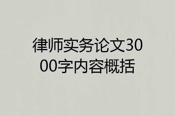 律师实务论文3000字内容概括