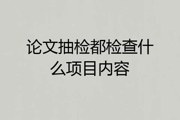 论文抽检都检查什么项目内容