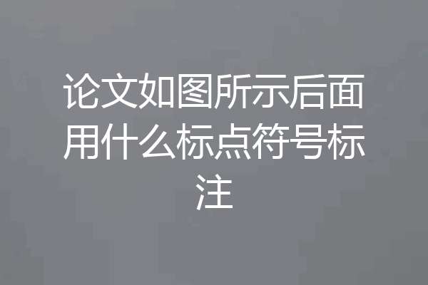 论文如图所示后面用什么标点符号标注