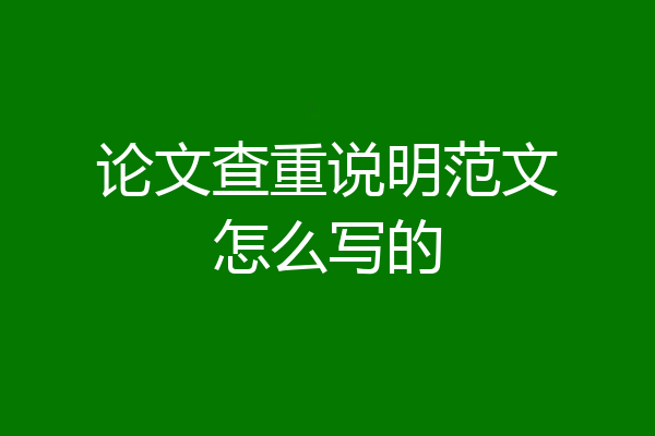 论文查重说明范文怎么写的