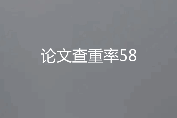 论文查重率58