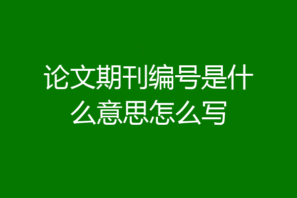 论文期刊编号是什么意思怎么写