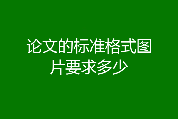 论文的标准格式图片要求多少