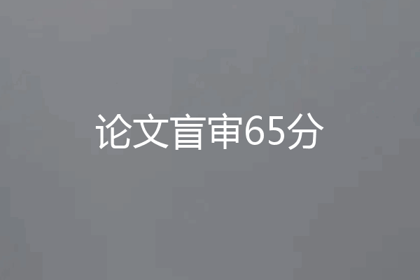 论文盲审65分