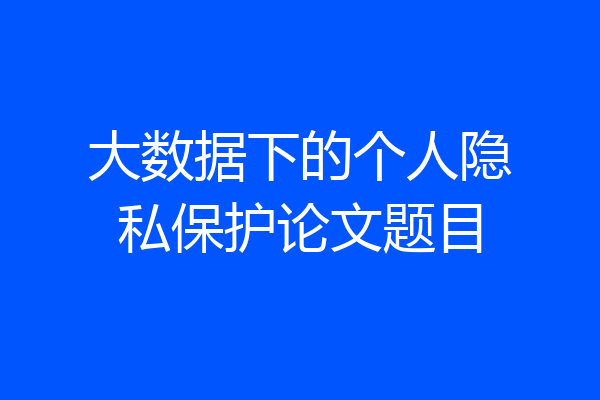 大数据下的个人隐私保护论文题目