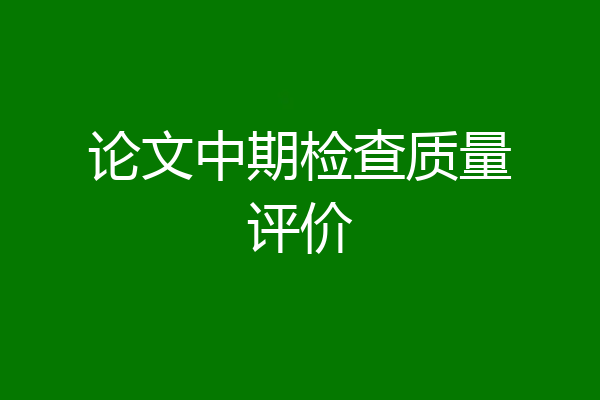 论文中期检查质量评价