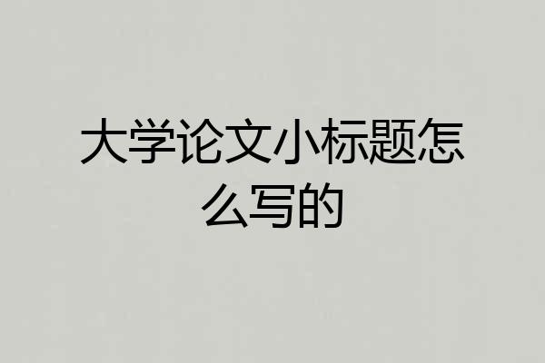 大学论文小标题怎么写的