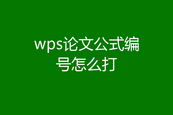 wps论文公式编号怎么打