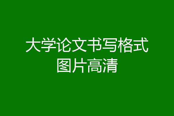 大学论文书写格式图片高清