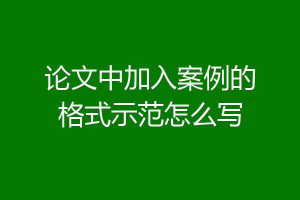 论文中加入案例的格式示范怎么写