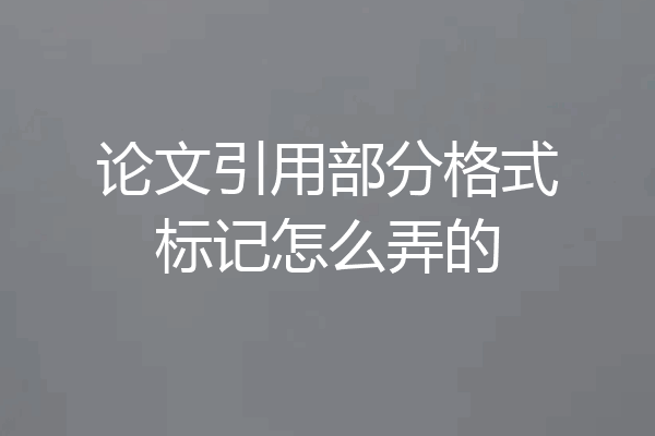论文引用部分格式标记怎么弄的