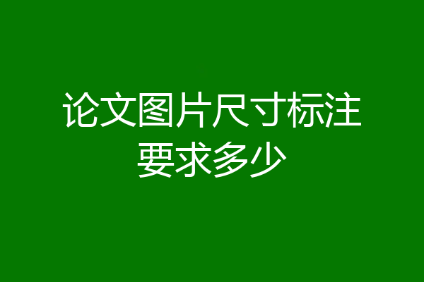 论文图片尺寸标注要求多少