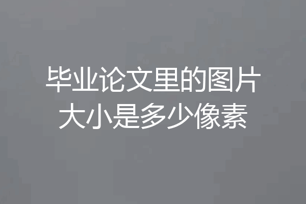 毕业论文里的图片大小是多少像素