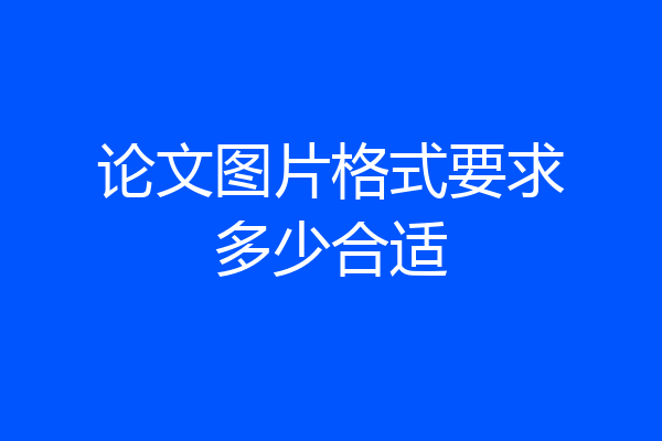 论文图片格式要求多少合适