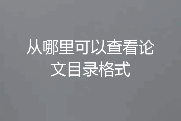 从哪里可以查看论文目录格式