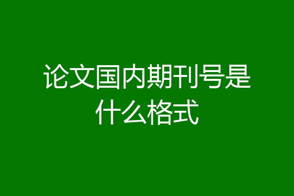 论文国内期刊号是什么格式