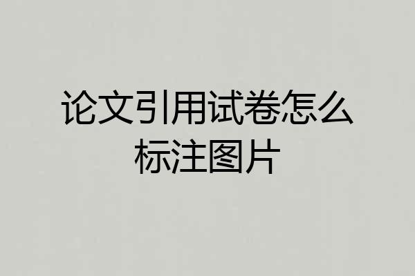论文引用试卷怎么标注图片