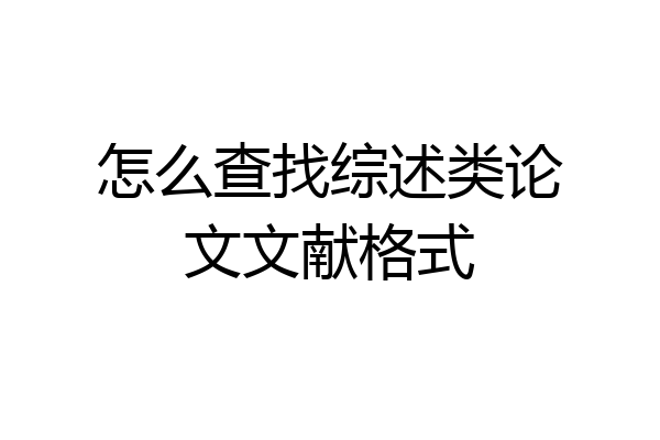 怎么查找综述类论文文献格式