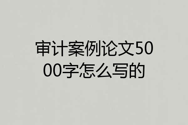审计案例论文5000字怎么写的