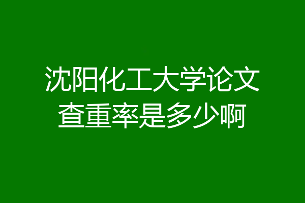 沈阳化工大学论文查重率是多少啊