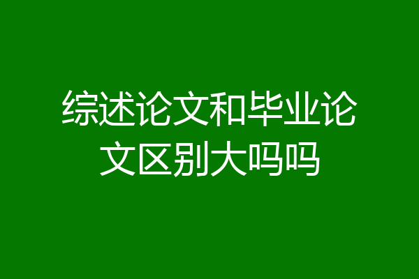 综述论文和毕业论文区别大吗吗