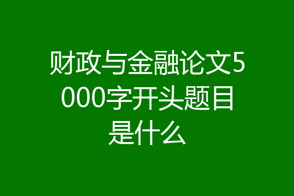 财政与金融论文5000字开头题目是什么