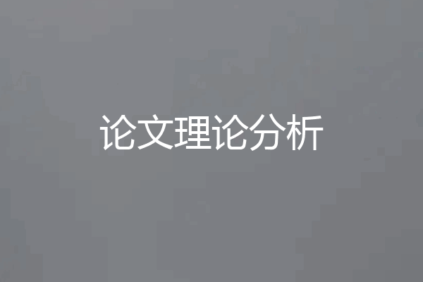 论文理论分析