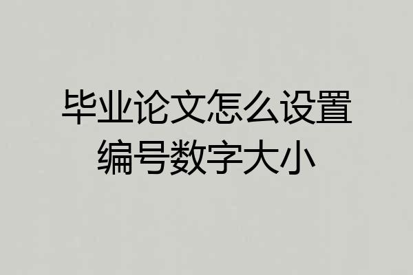 毕业论文怎么设置编号数字大小
