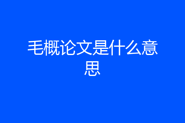 毛概论文是什么意思