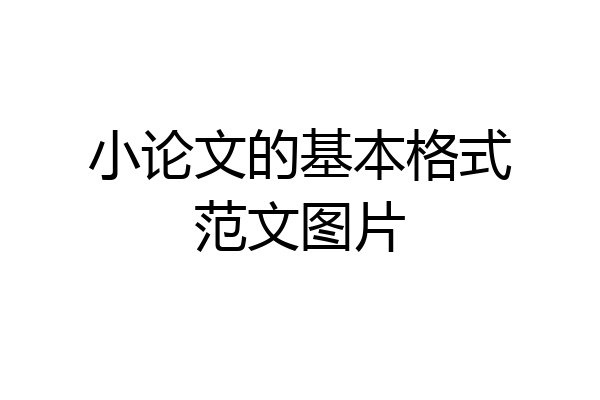 小论文的基本格式范文图片