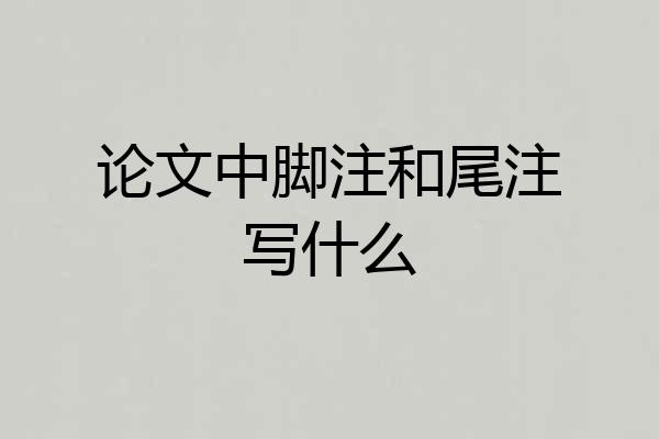 论文中脚注和尾注写什么