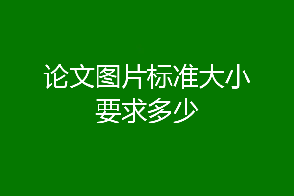 论文图片标准大小要求多少