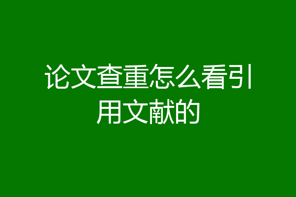论文查重怎么看引用文献的
